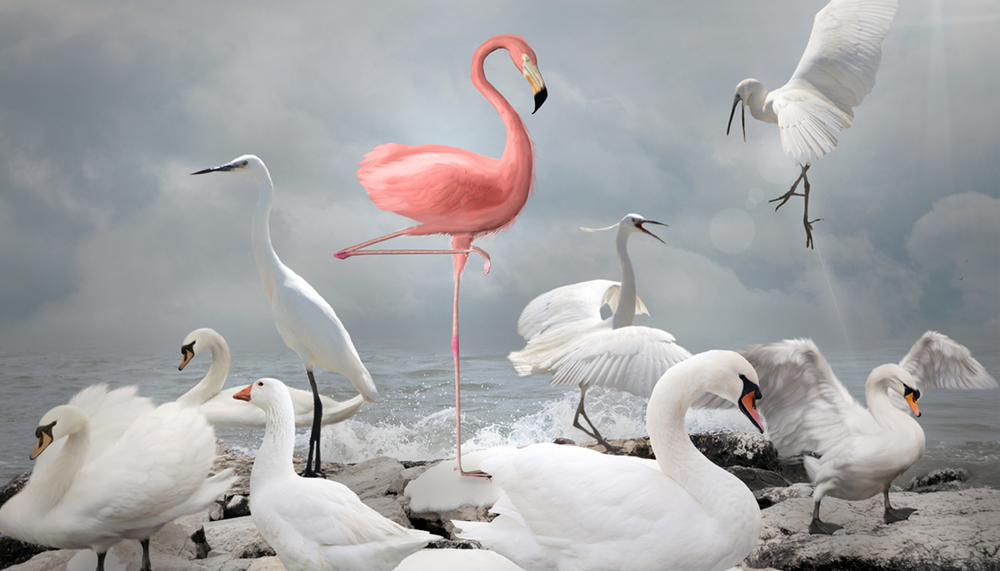 Quand la couleur fait toute la différence