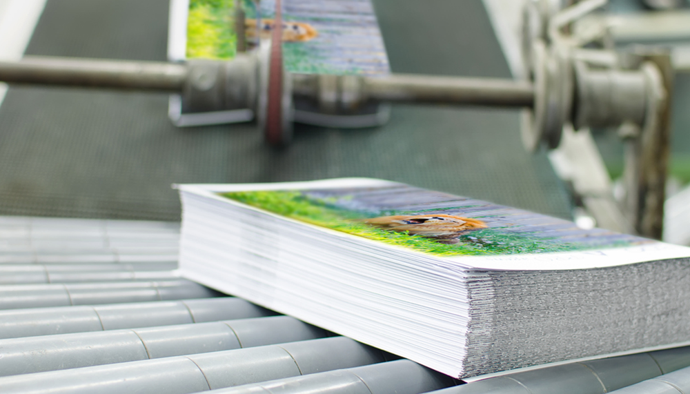 Fabrication du livre : un métier clé à découvrir avec le BTS Édition